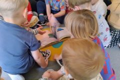 IMG_20251022_141229601_AE IMG_20251022_141229601_AE