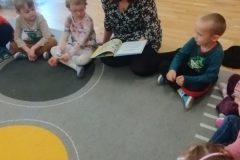 IMG_20251118_120432