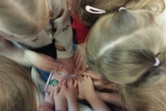 IMG_20251204_142206