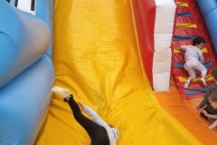 IMG_20260601_100452