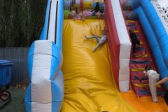 IMG_20260601_105234