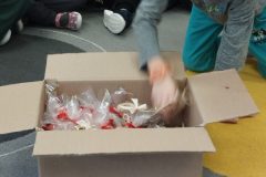 IMG_20251202_115740