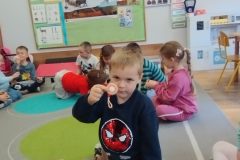 IMG_20251202_120045