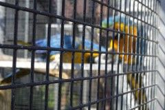 DSC07483