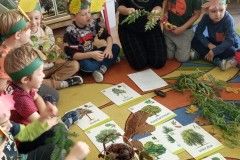 IMG_20211011_093335