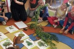 IMG_20211011_093407