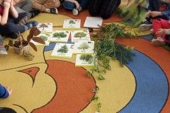 IMG_20211011_093505