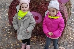 IMG_20231026_091849