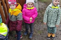 IMG_20231026_093425