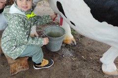 IMG_20231026_093754