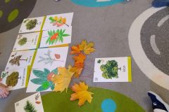 IMG_20251008_093716278_AE