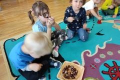 IMG_20211011_103229