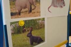 IMG_20210312_094505040