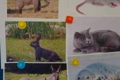 IMG_20210312_094748589