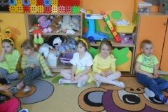 DSCN4084