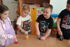 IMG_20260216_095638894