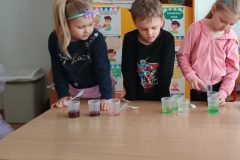 IMG_20260216_102805176