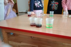 IMG_20260216_102943225