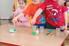 IMG_20260216_103335166