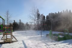 IMG_20260216_113922547