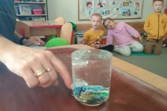 IMG_20260220_092420565