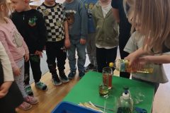 IMG_20260223_102841