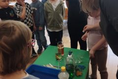 IMG_20260223_102922