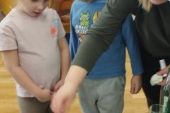 IMG_20260223_103153