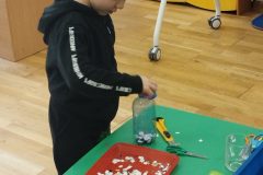 IMG_20260223_104704