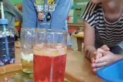 IMG_20260223_111332