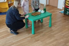 IMG_20260225_102334