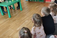IMG_20260225_103217