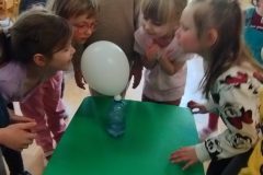 IMG_20260225_103702