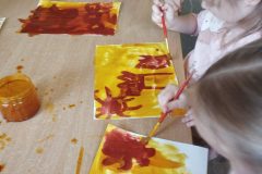 IMG_20260227_111403