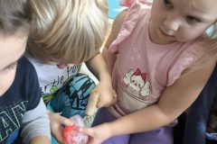 IMG_20260219_120327