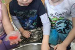 IMG_20260219_120434