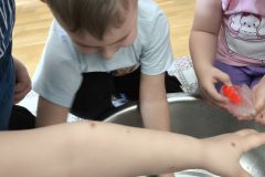 IMG_20260219_120458