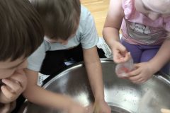 IMG_20260219_120503