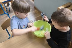 IMG_20260219_120558-1