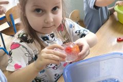 IMG_20260219_120806
