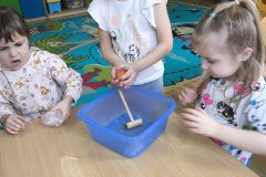 IMG_20260219_120951_1