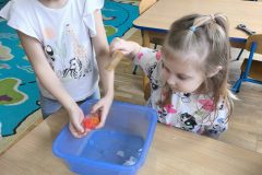IMG_20260219_121010