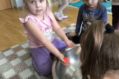 IMG_20260219_121137