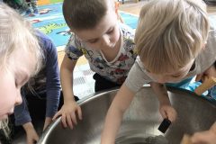 IMG_20260219_121204