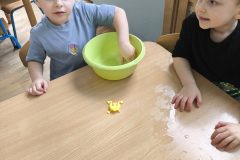 IMG_20260219_121509
