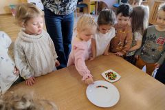 IMG_20260216_100648531_AE