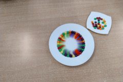 IMG_20260216_101019320_AE