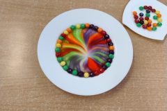 IMG_20260216_101203666_AE