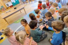 IMG_20260219_093457188_AE