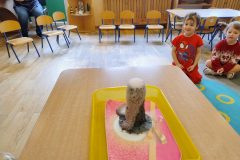 IMG_20260219_094153197_AE